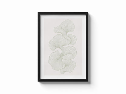 Linee Botaniche: vista 5 del prodotto
