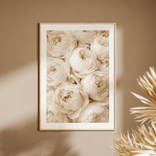 Abbraccio di Peonie: stampa artistica da parete