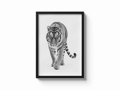 Quadro tigre bianco e nero: vista 5 del prodotto