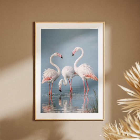 Fenicotteri Rosa sul Lago: stampa artistica da parete