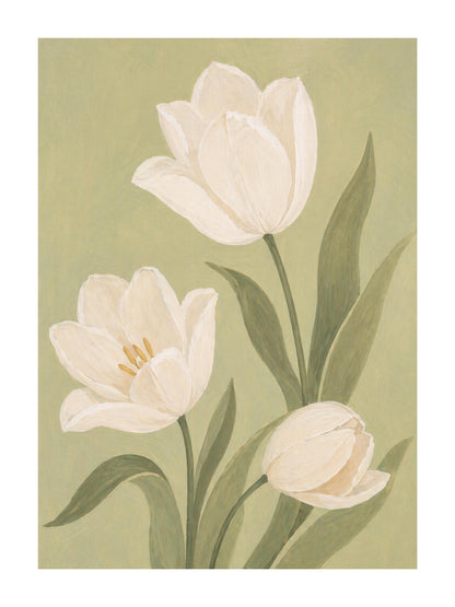 Tulipani di Primavera: vista 3 del prodotto