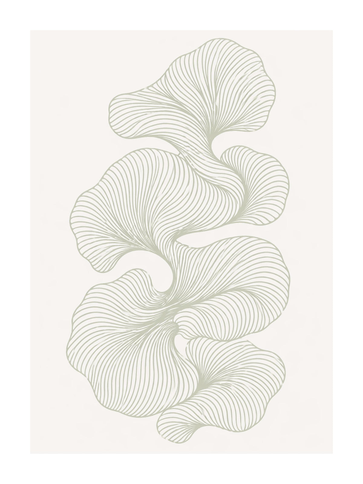 Linee Botaniche: vista 3 del prodotto