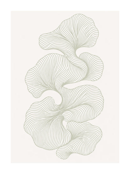 Linee Botaniche: vista 3 del prodotto