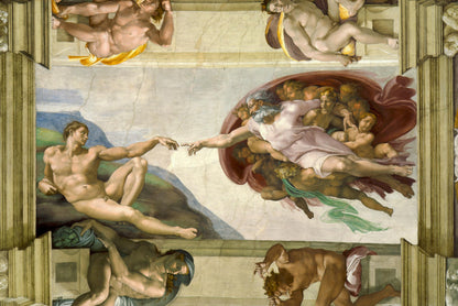 Creazione di Adamo di Michelangelo: vista 2 del prodotto