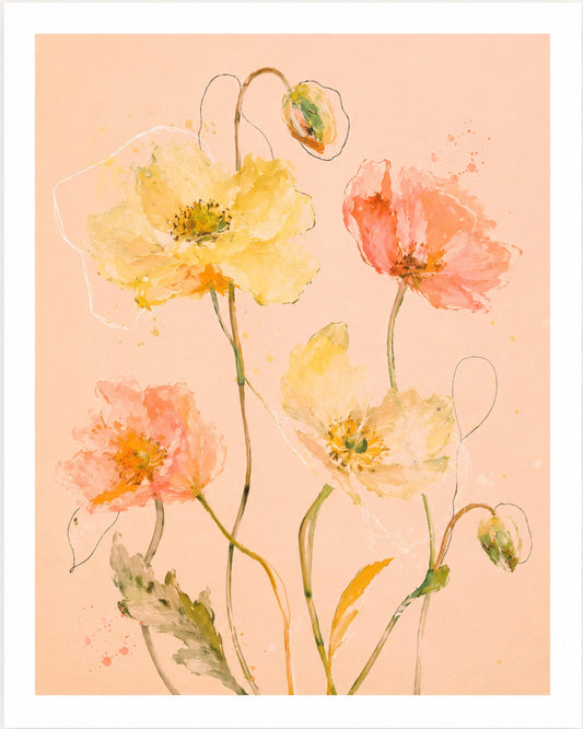 Papaveri color pesca, stampa digitale acquerello botanico