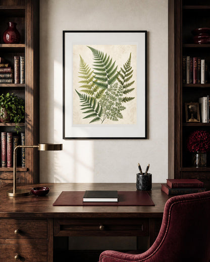 Poster digitale studio botanico di felci - Felci d'Erbario, file da stampare