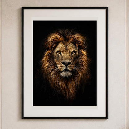 Quadro ritratto frontale di leone su fondo nero - Re della Savana, stampa, tela o cornice
